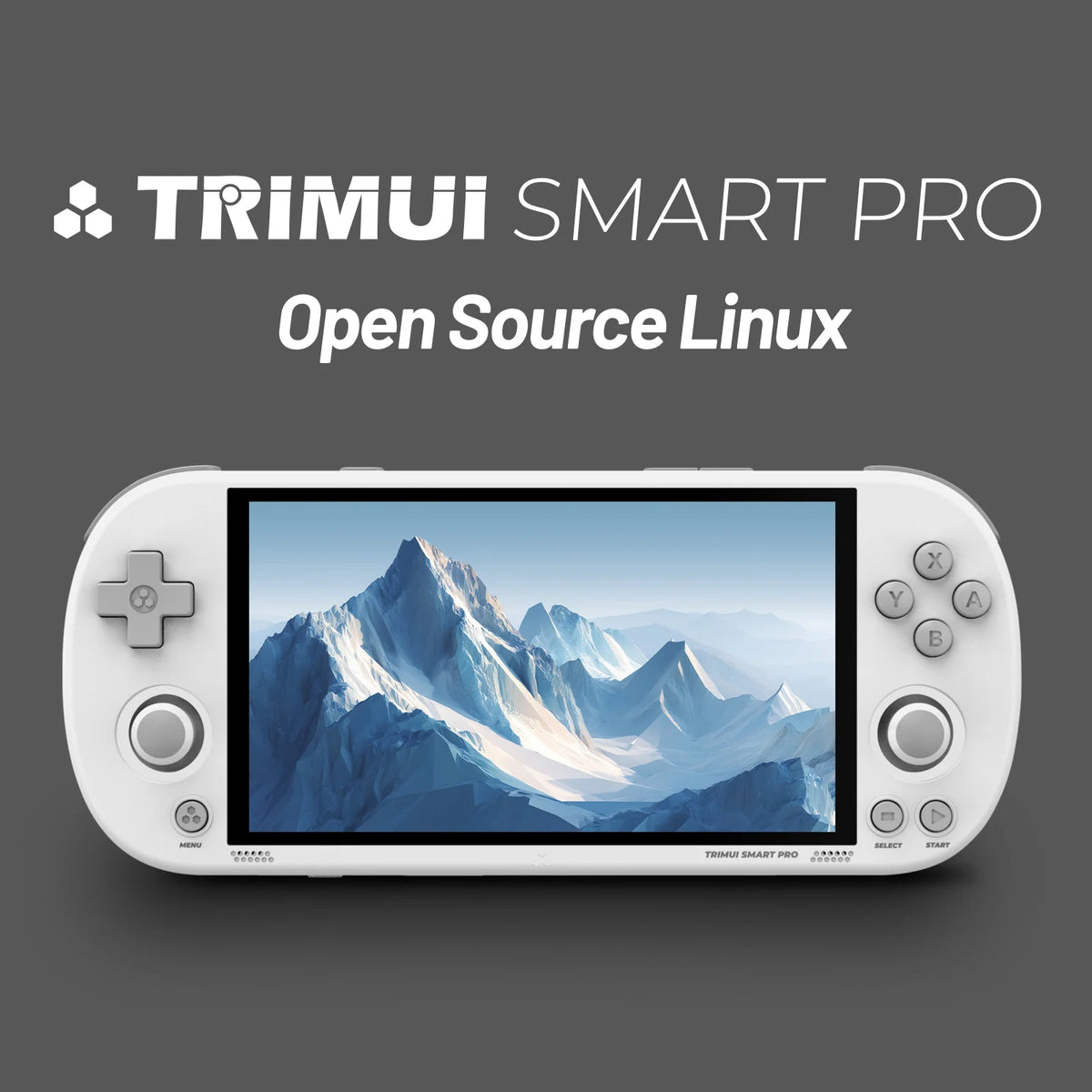 Trimui Smart Pro Open Source Linux